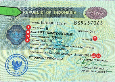 Actual Travel Visas Samples